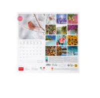 Calendario da parete 2024 30 x 29 cm Four Seasons